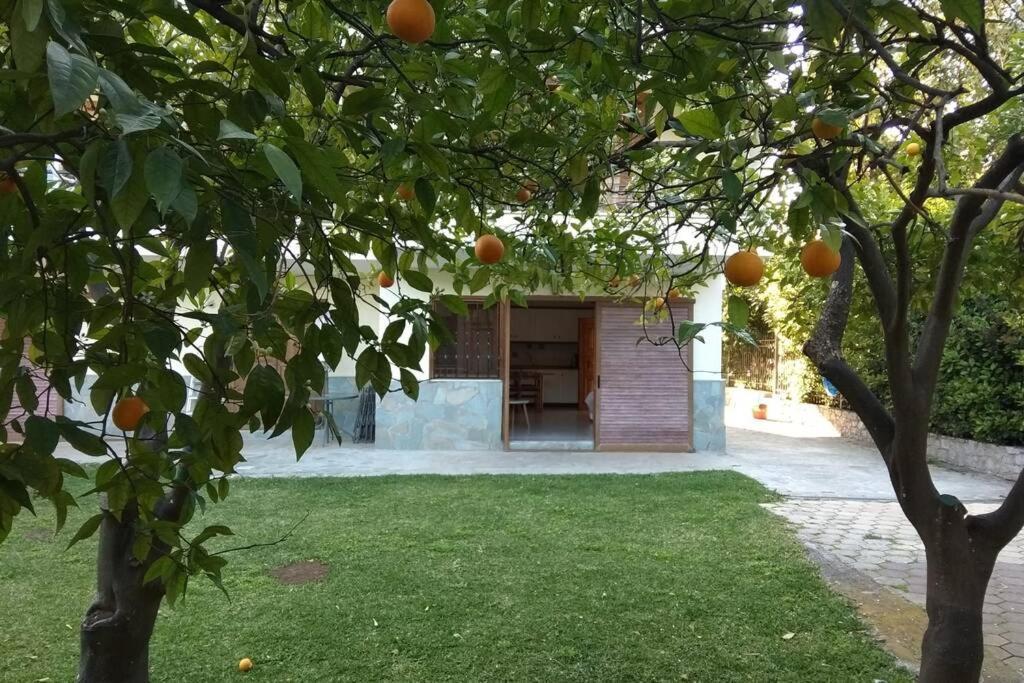 Electra Apartment In Epidaurus Exterior foto